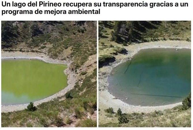 elPeriodico (Spanish)