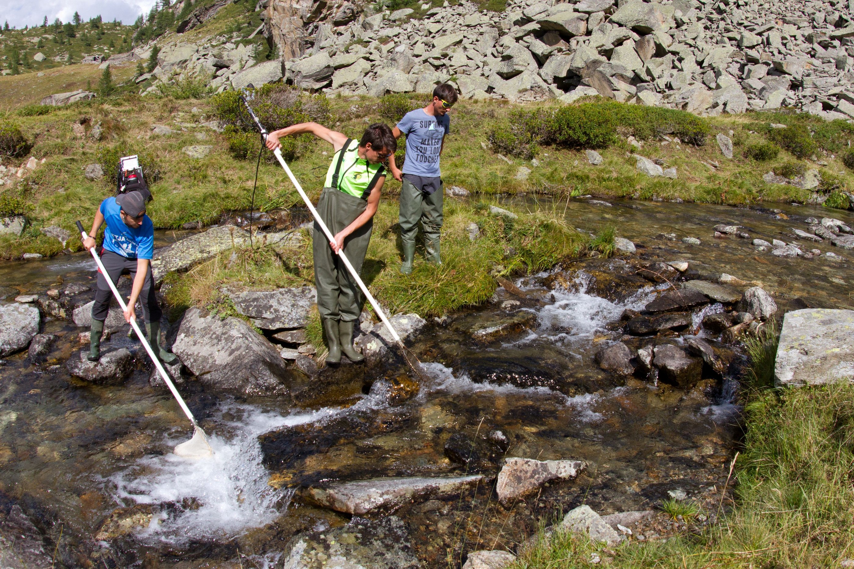 FishME_ToolBox_electrofishing #2 bis (RT)