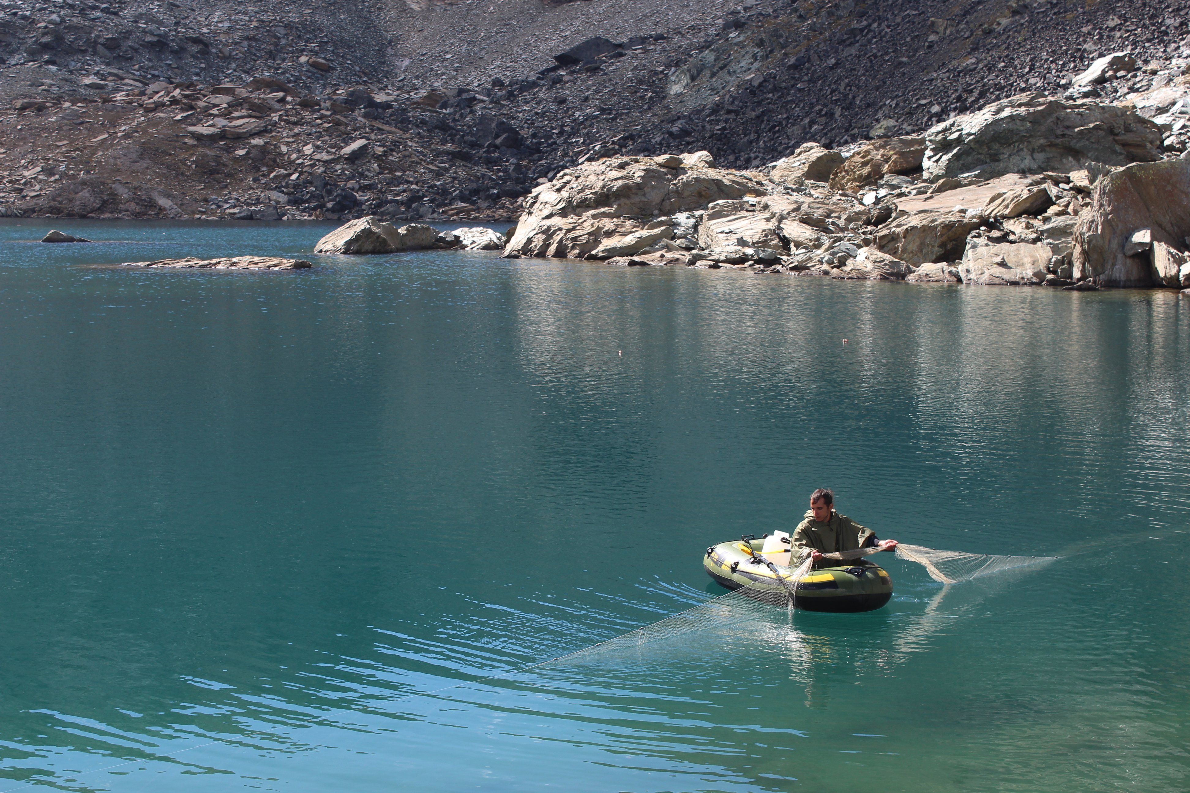 FishME_ToolBox_gillnets #2 (RT)