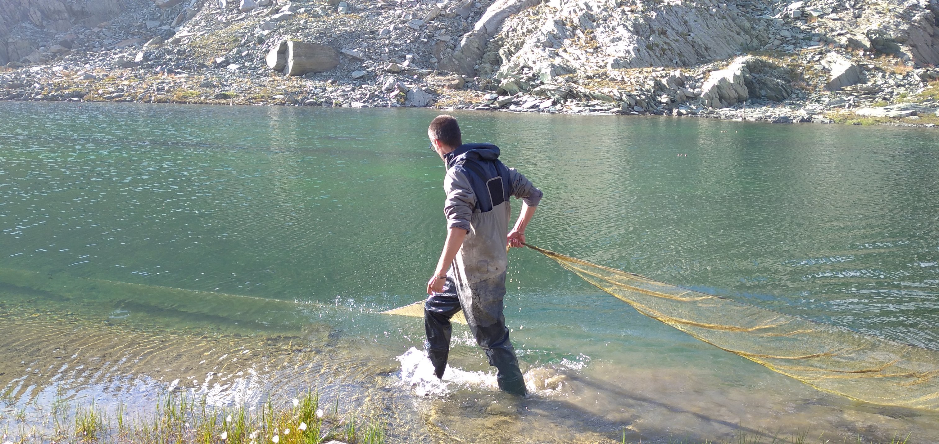 FishME_ToolBox_sampling #5 (RT)