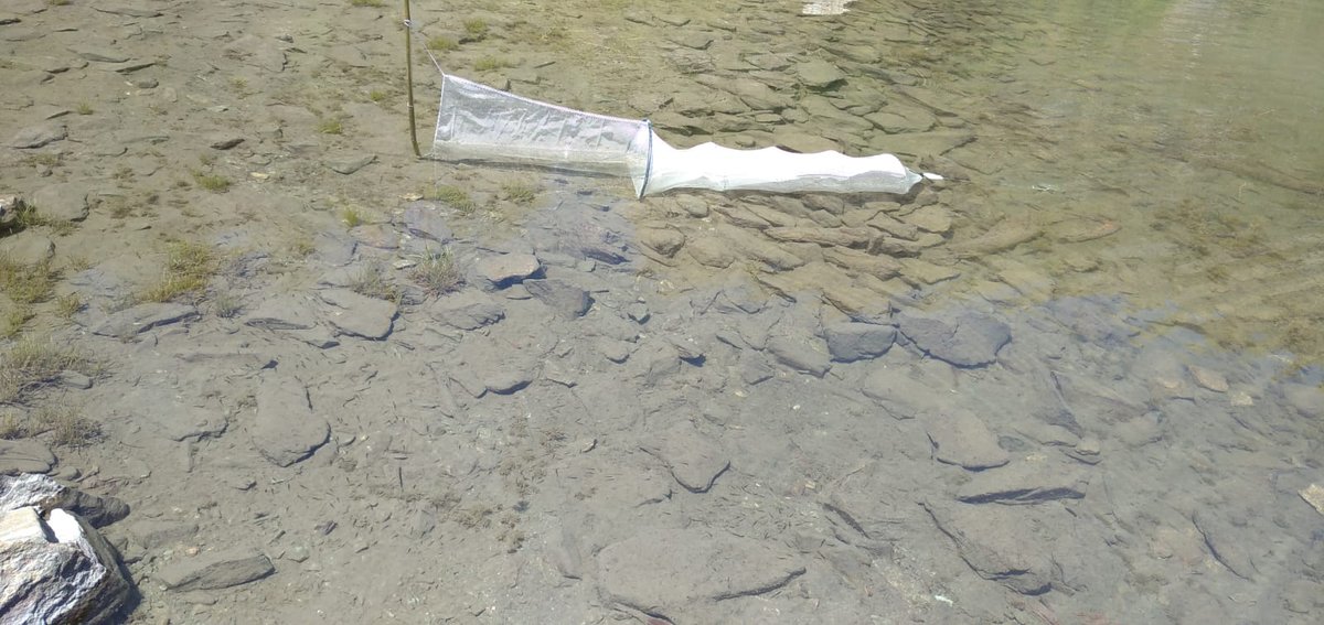 FishME_ToolBox_traps #1 (RT)