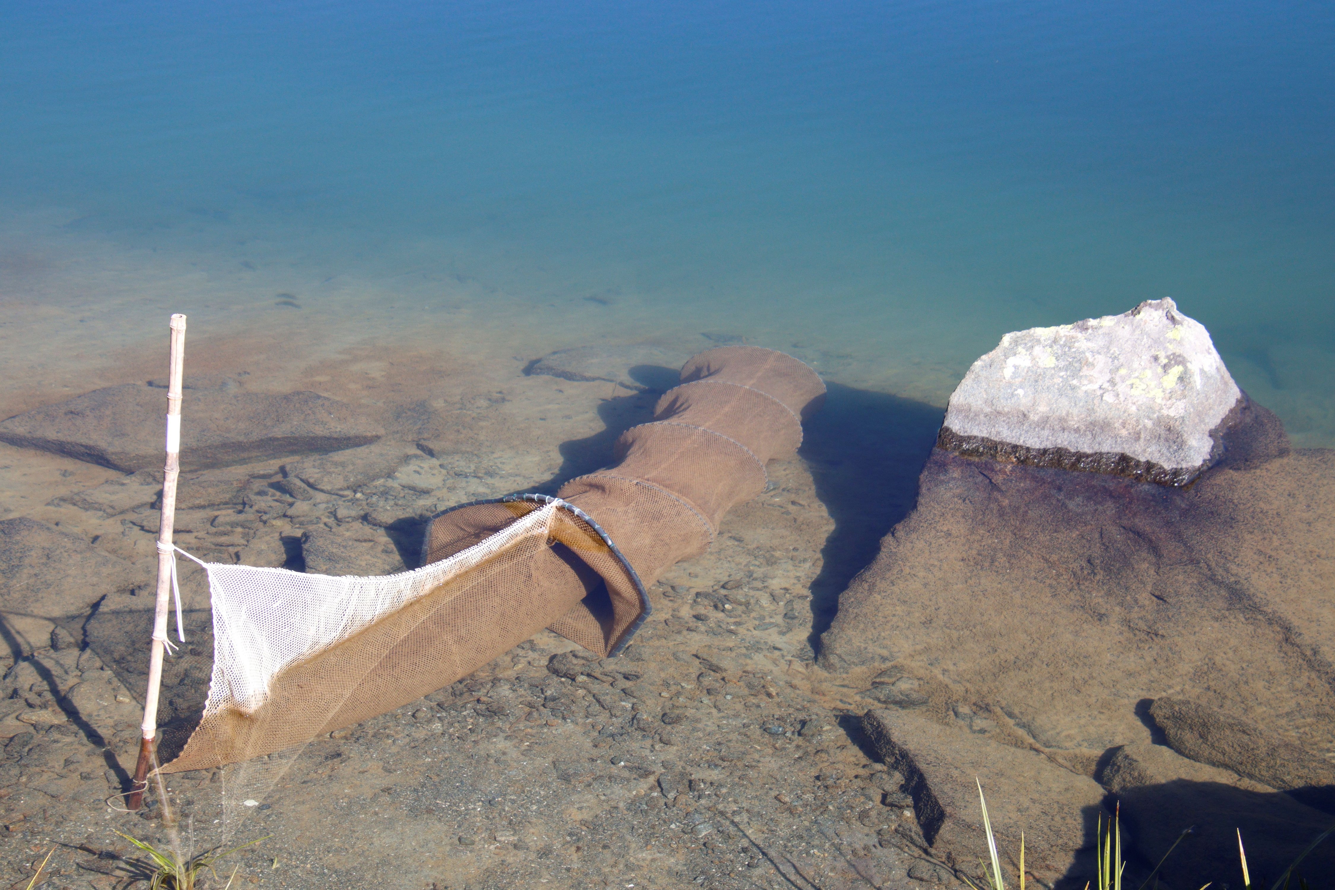 FishME_ToolBox_traps #5 bis (RT)