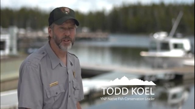 Yellowstone lake ecosystem restoration