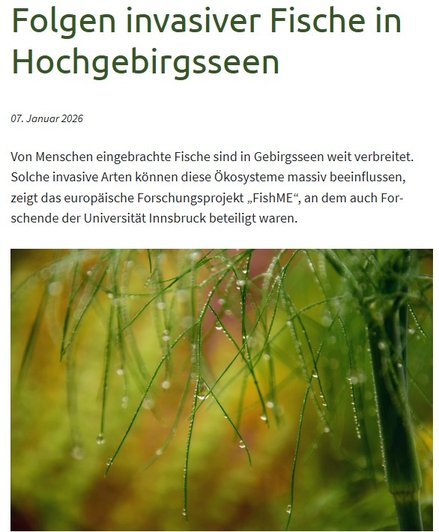 Neobiota (German)
