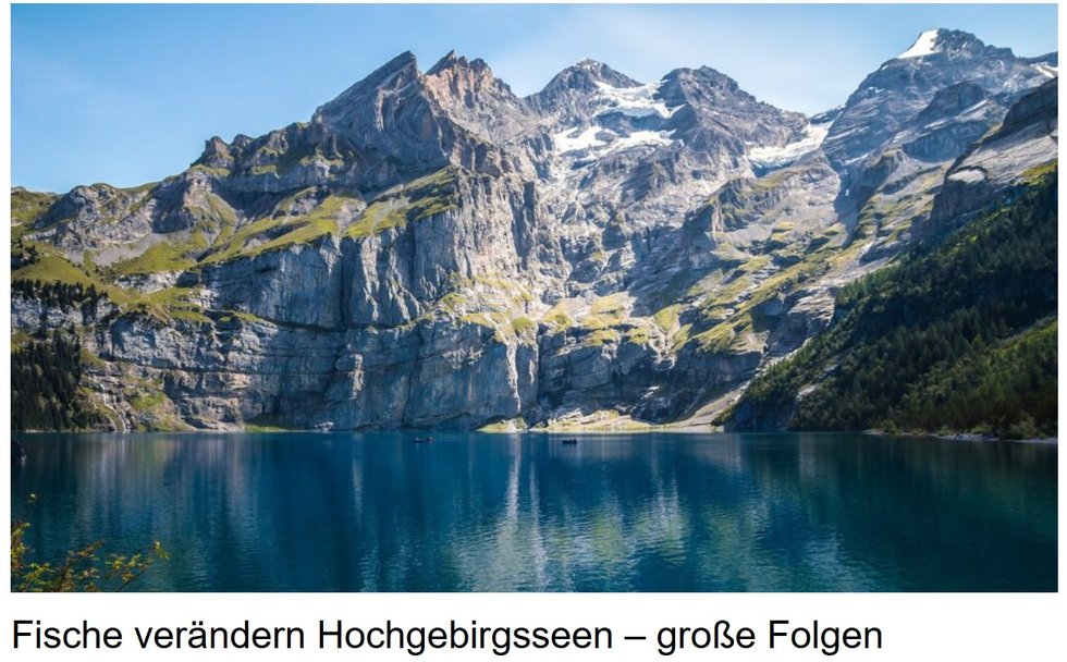 RegionalUpdate (German)
