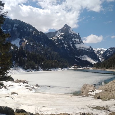 FishME landing page image